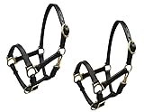 Small Pony/Weanling Leather Halter w/Brass Hardware