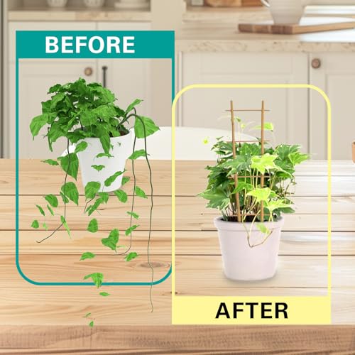 Save 20% on a 3-Pack of Natural Bamboo Plant Trellises - Image 4