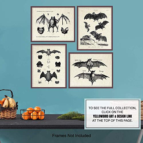 Yellowbird Art & Design Bats Wall Decor - Vintage Retro Hipster Goth Art, Home Or Room Decoration - Gift For Gothic, Horror, Vampire Fans thumb #6