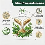 Teufelskralle Kapseln (Extrakt) | 270 Kapseln | PREMIUM: 2,7% Harpagoside | 1650mg pro Tag | Vegan & Laborgeprüft - SUPPLENATURA®
