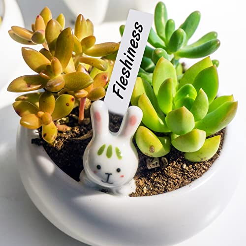 Kinglake 43494-26873 1000 Pcs 4 Inch Plant Tags Garden Nursery Labels Plastic Pot Labels White,Box Of 1000 thumb #7