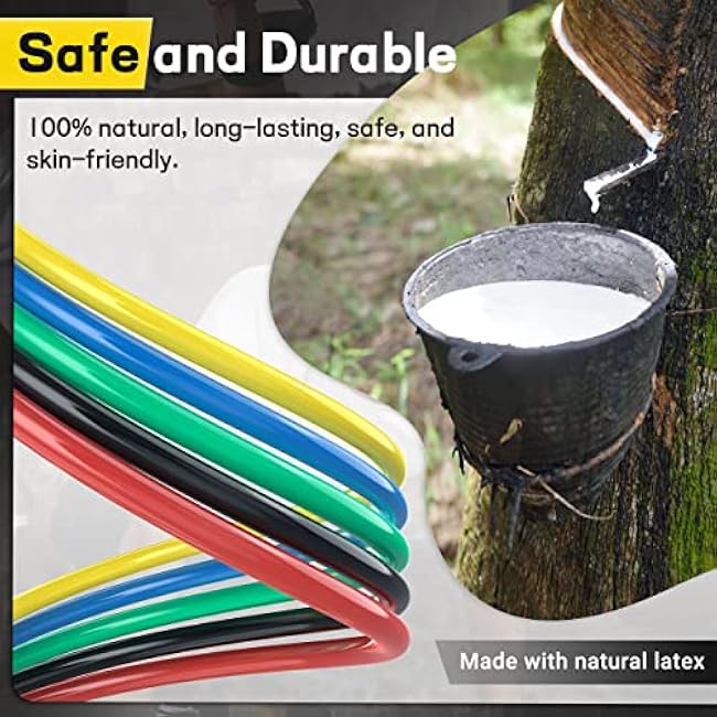 Resistance Bands, Resistance Band Set, Workout Bands, Exercise Bands for Men and Women, Exercise Bands with Door Anchor, Handles, Legs Ankle Straps for Muscle Training, Physical Therapy, Shape Body