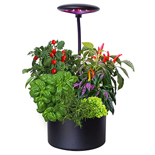 Potager hydroponique d'intérieur LED pour herbes fraîches à portée de main dans votre cuisine