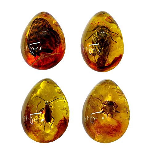 Qing Hui 1pcs Amber Fossil with Insects Samples Stones Resin Amber Butterfly Insect Stone Beautiful Pendant Necklace Baltic Amber (Random Pattern)