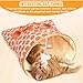 EZGHAR Nanecity Cat Tunnel, Nanecity Cat Bag, 2024 New Pet Cat Play Tunnel Toy, Collapsible Interactive Cat Drill Bag Pet Toy with Plush Ball Cat Self Interactive Toys (Gray Hedgehog)