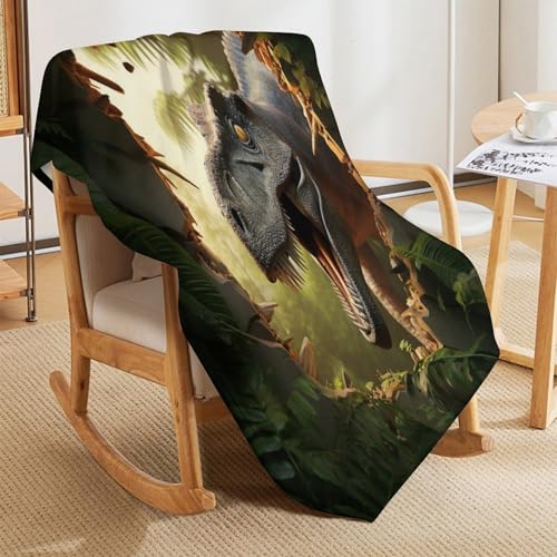 Couverture plaid dinosaure très doux, cadeau enfant idéal