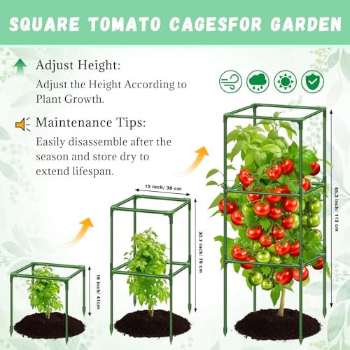 Treillis à tomates Riare anti-affaissement pour lit surélevé - 3