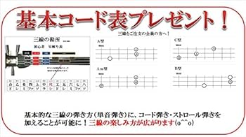 三線　ケース　爪　弦　楽譜付 三線 ケース 爪 弦 楽譜付 三線ケース爪弦楽譜付