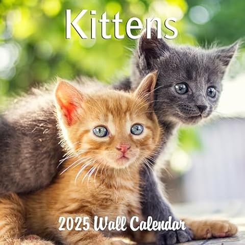2025 Kittens Monthly Wall Calendar | 12" x 24" | Thick Sturdy Paper | Cute Cats Calendar 2024-2025 Cover
