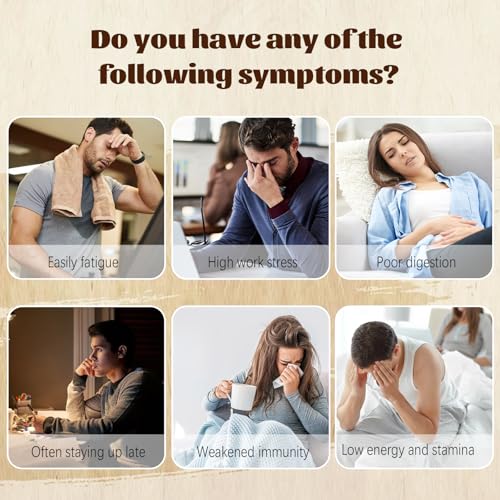 260g /10 bags，Maca Kidney Tea Formula Ginseng Ten Treasure Tea, Chinese Herbal Kidney Tea Bag for Male Enhancement Support Booster ，Nourishing, Women's Health and Beauty,Cleansing and Detoxifyingto - Image 3