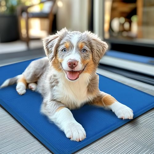 Bamda kühlmatte Hund 90x50cm - Sofortige Selbstkühlmatte für Hunde, Nicht-giftiges Gel, langlebige Kratzfeste Oberfläche, Haustierkühlmatte für Kisten und Betten perfekt für den heißen Sommer【L】