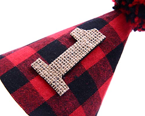 1st Birthday for Lumberjack Crown - Buffalo Plaid Burlap First Birthday Crown - Lumberjack Party Surprise- Wild One Lumberjack Party Hat (Buffalo Plaid Burlap Party Hat)