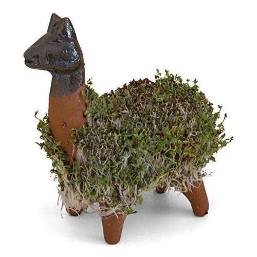 Lassen Sie Ihr eigenes KresseLlama gedeihen (Inklusive Kressesamen). Fair gehandelt. Handarbeit aus Mexiko. Llama. - Image 5