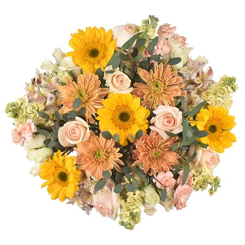 Floral Compass by Nature’s Flowers - Symbolism Flower Bouquet - Prime Eligible, 30+ Fresh Cut Flowers for Delivery, No Vase