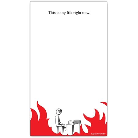 Funny Notepads 4-Pack Everything Is Fine, This Is My Life Now I Have No Idea What I M Doing And I M Not Even Trying Anymore Memo Pads Sarcastic Work Office Novelty Gag Gift Idea