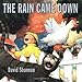 The Rain Came Down