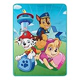Paw Patrol Happy Day Super Plush Throw - 46' by 60'