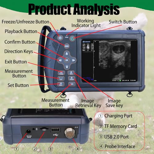 Analizzatore portatile di ultrasuono con la sonda doppia di frequenza per l'imaging diagnostico animale