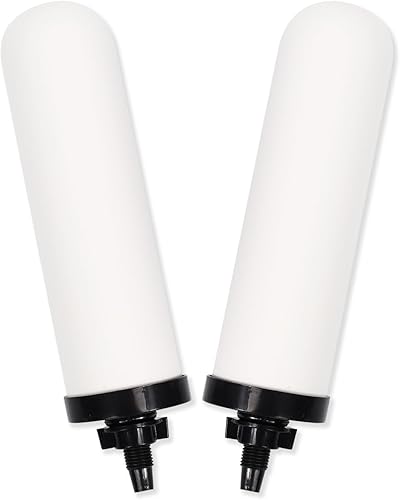 Paquete de 2 velas de filtro de agua de cerámica de 7 pulgadas, filtros de repuesto de filtro de agua de 7 pulgadas con carbón activado para sistema
