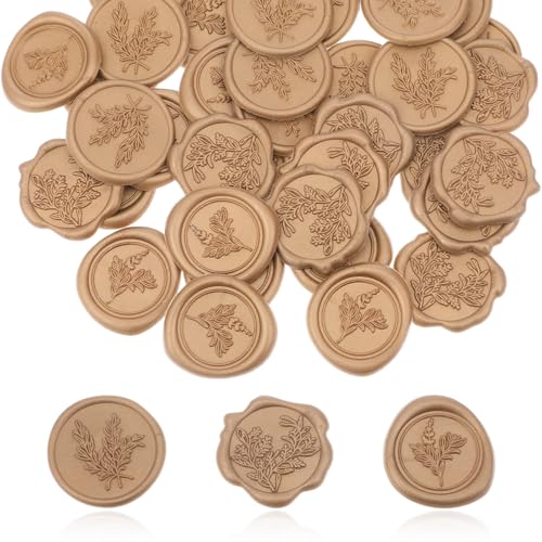 Nogeqi AeB[NS[hbNXV[XebJ[30 [JbNXX^vXebJ[ SGx[vXebJ[V[ re[W GKg ҏ󕕓  NX}X MtgbsOp