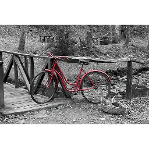 Peinture Mur Art Vélo Rétro Toile Noir Blanc Rouge 80x110cm Sans Cadre Design Unique