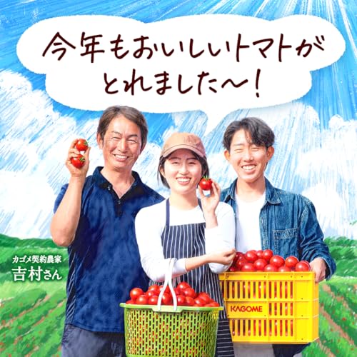 カゴメ トマトジュースプレミアム 食塩無添加 720mlペットボトル の商品画像 6