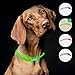 riijk LED Leuchthalsband Hund extra stark Leuchtend | Super lang haltbar durch Lichtleiter-Technologie | regenfest | Leuchthalsband Hund Langhaar und Kurzhaar | USB wiederaufladbar
