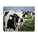 Produktbild Gaming Mouse pad, Maus - Pads Holstein MIT Lustig Gesicht in der wühlmäuse PAD Lustig