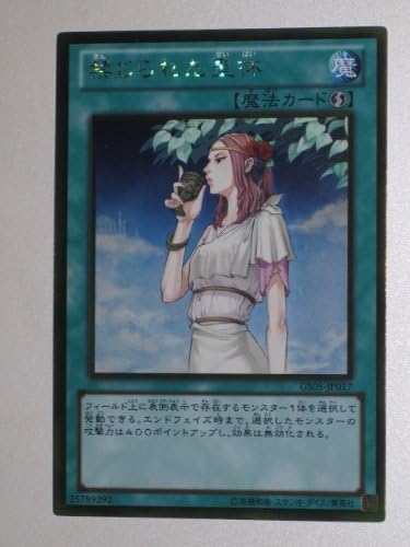 人気top 遊戯王カード 禁じられた聖杯 トレーディングカード Www Pastosbons Ma Gov Br