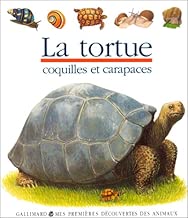 Download La tortue PDF