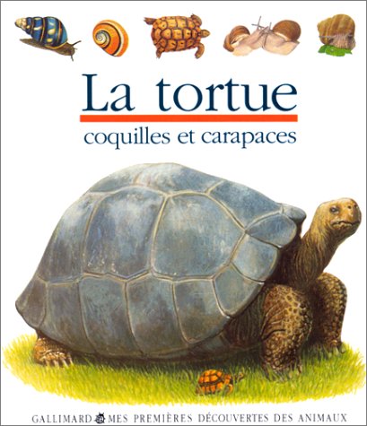 Télécharger La tortue Livre eBook France