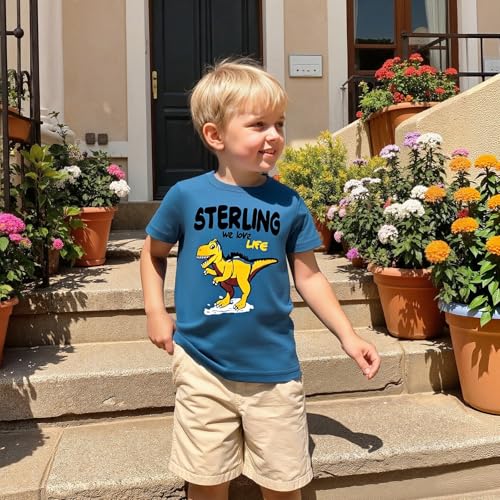 Image of DEEKEY Toddler Boys Shirts Short-Sleeve Little Kids t Shirts Boys' Tops, Tees & Shirts Graphic TEE Age for 2-7 Years 4-Pack