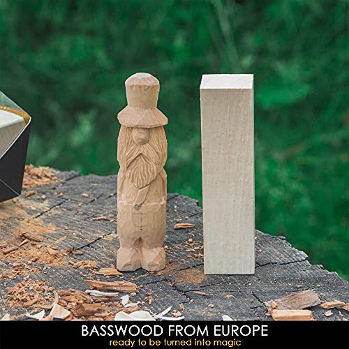 Beavercraft Bw18 Pcs Basswood Carving Blocks Whittling Wood Carving Blocks Basswood For Carving Wood For Whittling Kit Wood Blocks For Carving Basswood For Wood Carving Set Wood Carving Wood #TOP7