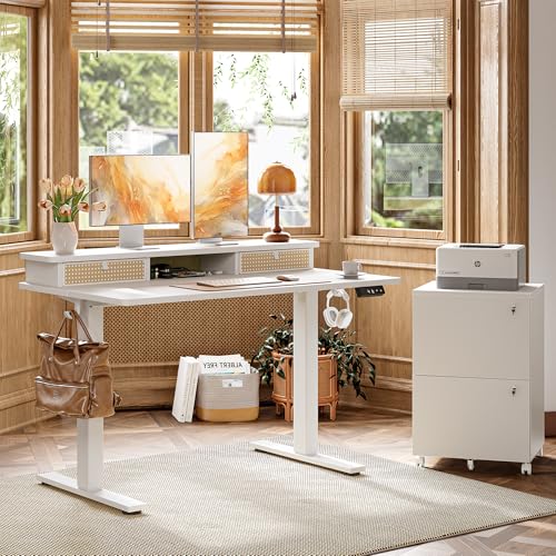 Image of TIQLAB Standing Desk with Two Drawers, Stand Up Standing Desk Adjustable Height, Electric Sit Stand Table with Storage Shelf and Splice Board, 48 * 24 inch, White Wicker