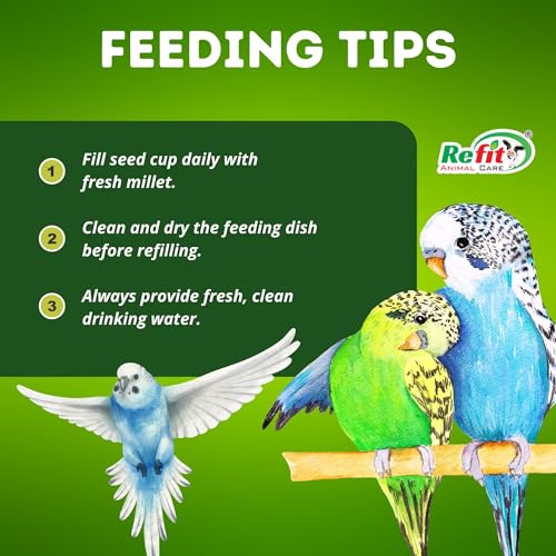 Image of REFIT ANIMAL CARE Foxtail Millet for Birds | Kangni Seeds | Bird Food 450 gm, Millet Meal