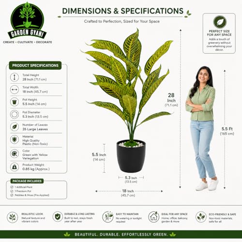Image of Artificial Yellow Calathea Plant with White Pot - 50 cm Tall Faux Tropical Decorative Plant with 26 Leaves for Home, Office & Living Room Decor