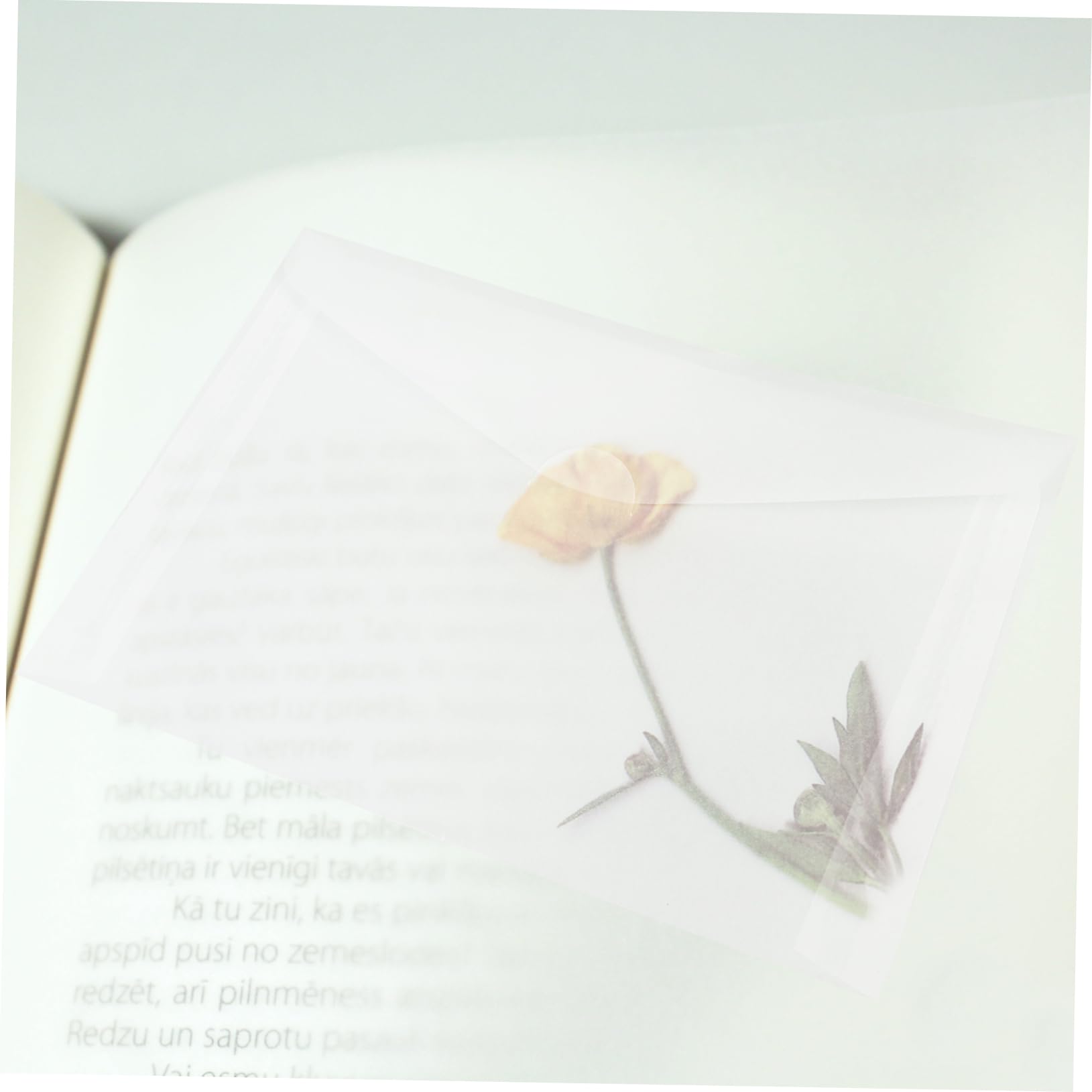 KONTONTY DIY Flower Press Kit 20pcs Flower Pressing Bag Plant Leaf Pressing Bag Paper Storage Embossing Kit