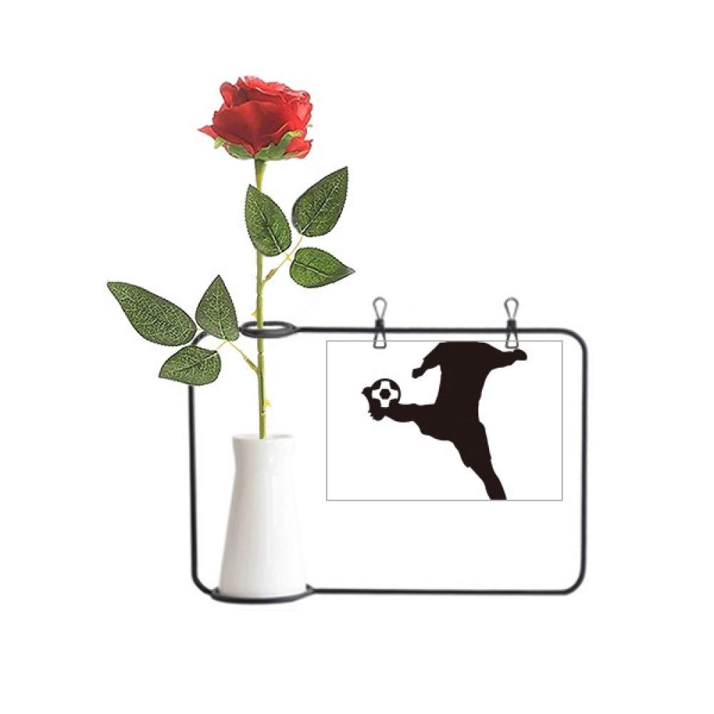 cold master DIY lab Sihouette Football Soccer Sports Artificial Rose Flower Hanging Vases Decoration Bottle