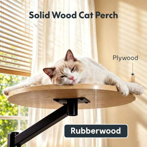 Image of FLEXISPOT EN2 55 inch x 28 inch Standing Desk with Solid Wood Cat Bed Bundle, 1 inch Thick Desktop, Desk-Mounted Cat Perch with Scratcher, Maple