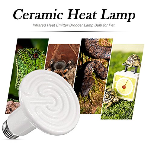 2 Pack 75W Ceramic Heat Emitter, Reptile Heat Lamp Bulb, Infrared Ceramic Heat Lamp for Reptiles, Amphibians, Chicken… - Image 5