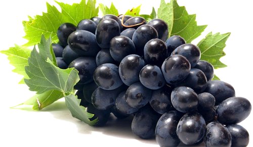 Miniatura 4 de Aceite de semilla de uva transparente orgánico 100% puro para cabello, cara, piel y uñas. Casi inodoro aceite portador, masaje, fabricación de jabón