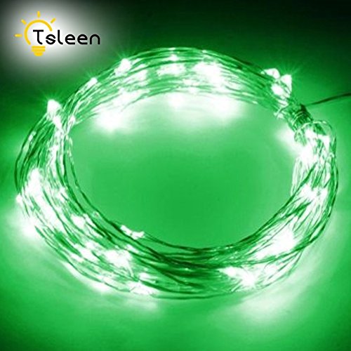 RVS green, 10M 100Leds UK Plug TSLEEN LED Silver Wire Fairy Starry