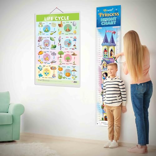 Image of GO WOO Life Cycle Chart and PRINCESS HEIGHT CHART | Set of 2 charts 1 Educational + 1 Height Chart | Dive into the combo Life Cycle Chart and Princess Height Chart