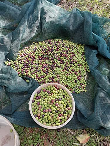 Olio Extra Vergine di Oliva 100% Italiano in latta...