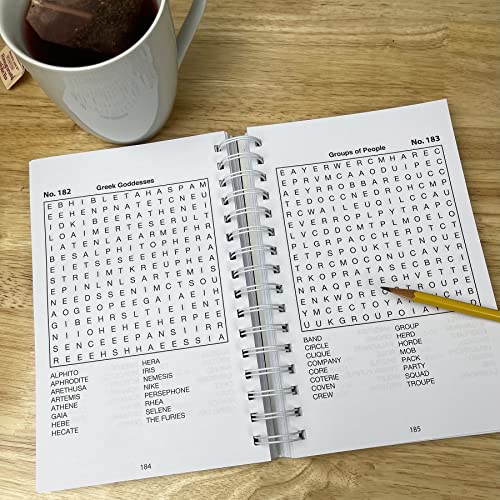 Word Search Puzzles (Big Book Of Puzzles) #TOP4
