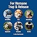 HAVAHART 1079SR Large 1-Door Humane Catch and Release Live Animal Trap Cage - Live Raccoon Trap, for Bobcats, Beavers, Dogs, & More