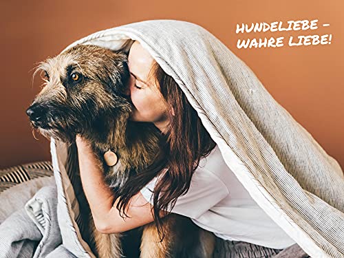 Sollis Hundefutter Nassfutter für Hunde | 0% Getreide | 0% Zucker | Natur pur in verschiedenen Sorten & Größen (Klassik Mix, 24x200g)