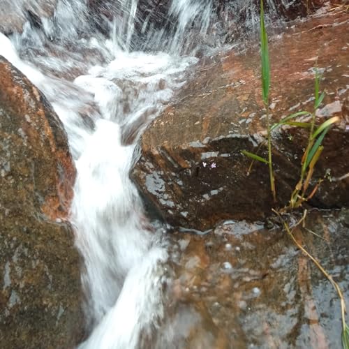 പ്രതീക്ഷക്കു പിന്നിൽ