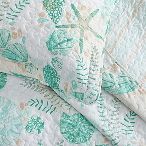 Bnuitland Quilt Set Queen Size, Lightweight Ocean Beach Bedspreads, Summer Reversible Seashell Coverlet Set, 3 Pcs Microfiber Bedding Set, Soft Nautical Pattern Quilt for All Season (90"x 96",Green) - Image 4