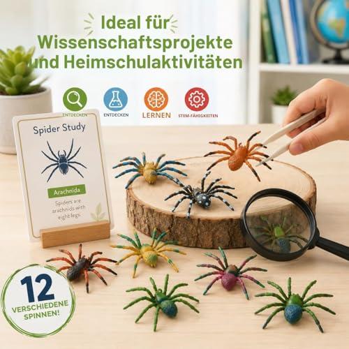 JOKFEICE Spinne Spielzeug 12 Stück realistische Spinnenfiguren Bunte Tarantel Figuren für Halloween Dekor, frühes pädagogisches Spielzeug, Geburtstagsparty, Kuchenaufsatz für Kinder